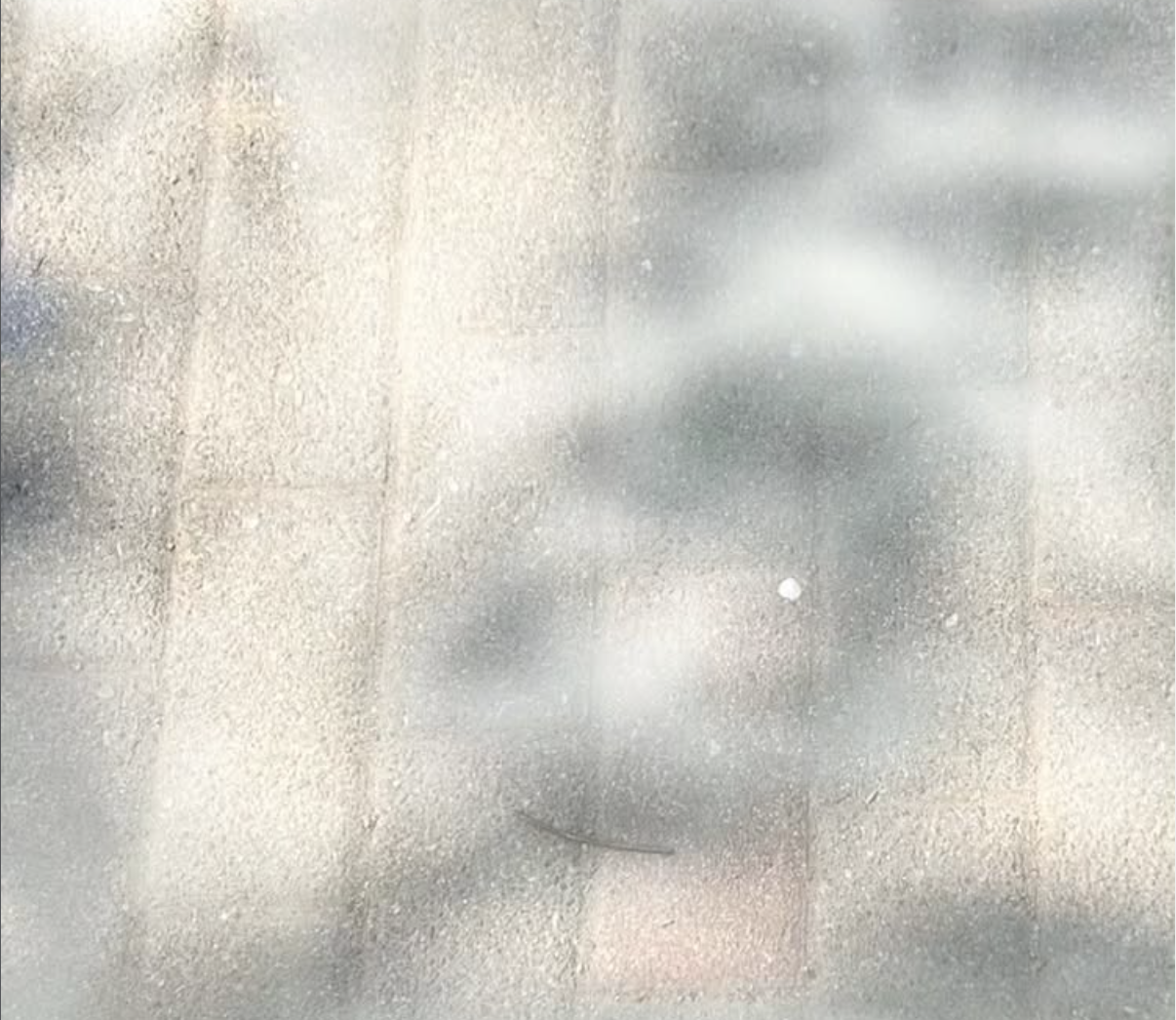 당신이 여기 오기까지 | 홍도연, 컷더케이크