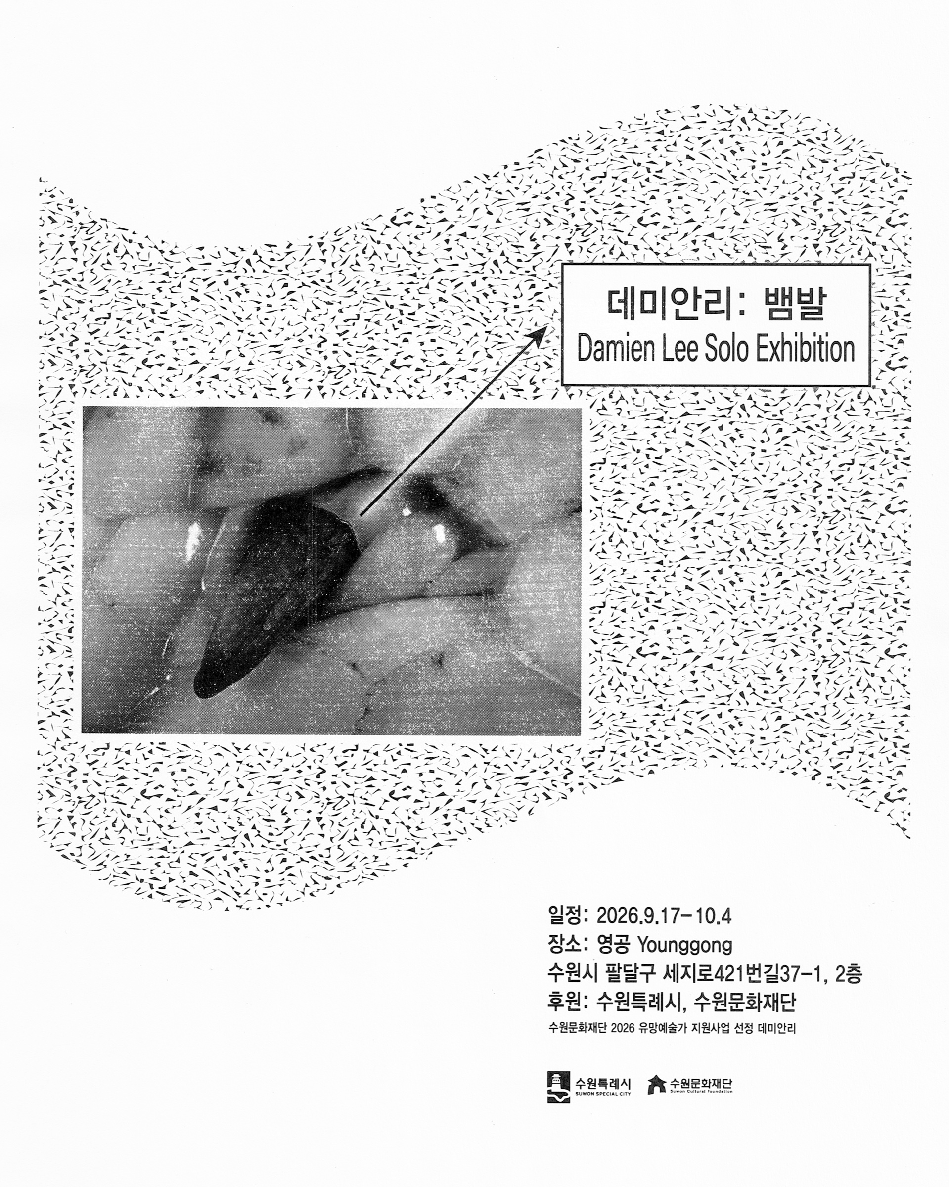 뱀발 | 데미안 리, 영공