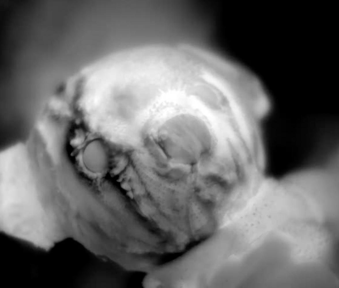 Post Ritual Bodies | 코라크릿 아룬나논차이, 국제갤러리